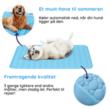 Indlæs billede til gallerivisning MrFluffyFriend® - Bedste Kølemåtte til Kæledyr