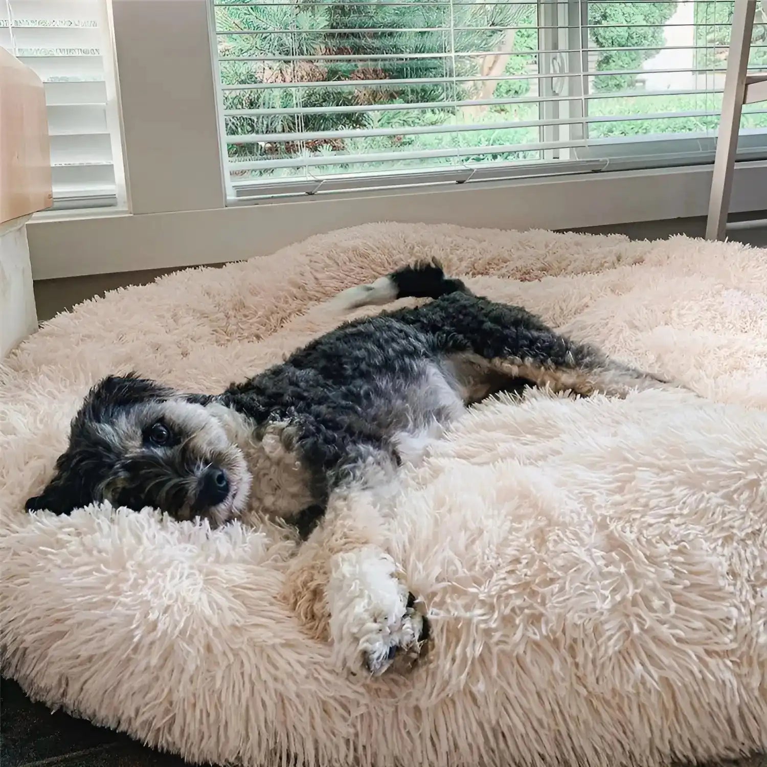 MrFluffyFriend™ – Verdens #1 Beroligende Donut Hundeseng