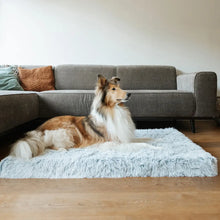 Indlæs billede til gallerivisning MrFluffyFriend® - Ortopædisk pude