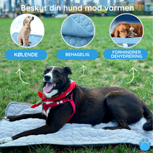 Indlæs billede til gallerivisning MrFluffyFriend™ - Bedste Kølemåtte til Kæledyr
