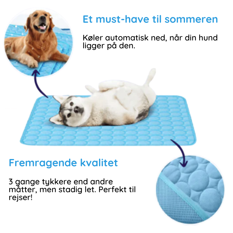 MrFluffyFriend™ - Bedste Kølemåtte til Kæledyr