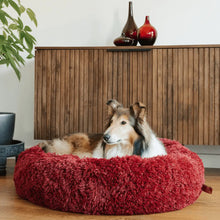 Indlæs billede til gallerivisning En collie som sitter på en stor, röd och fluffig hundbädd i ett mysigt vardagsrum
