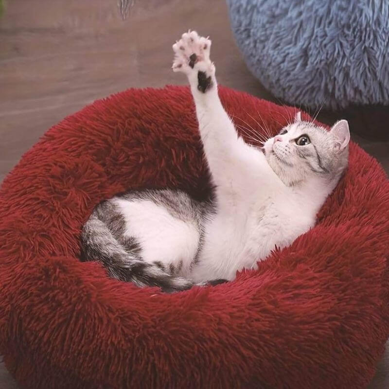 MrFluffyFriend ™ - Verdens Bedste Beroligende Katteseng